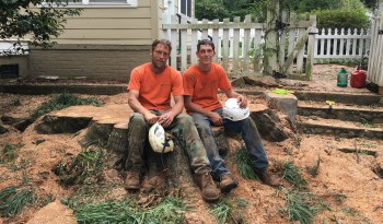 Greenville Tree Service