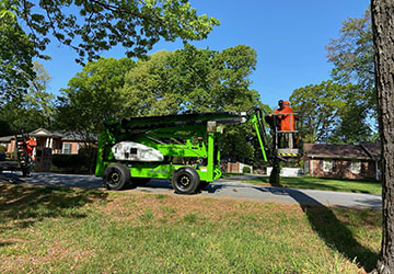 Se tree service employees standing with new equipment getting ready for the work day